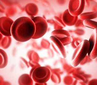 Железодефицитная анемия: причины, симптомы, диагностика лечение и профилактика
